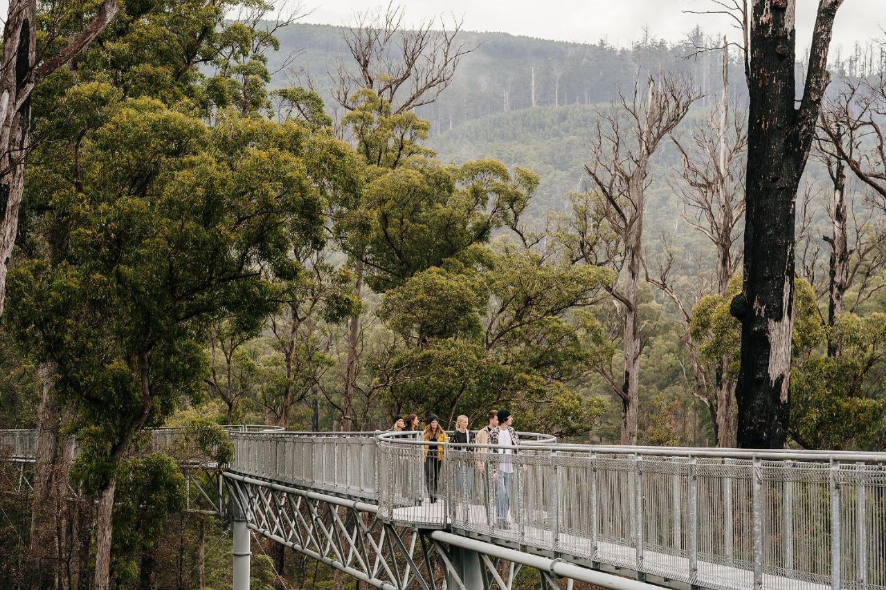 Tahune Airwalk Cabin And Lodge Geeveston Extérieur photo