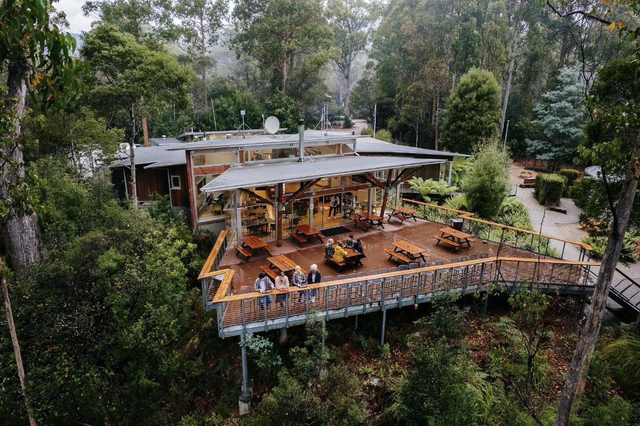 Tahune Airwalk Cabin And Lodge Geeveston Extérieur photo