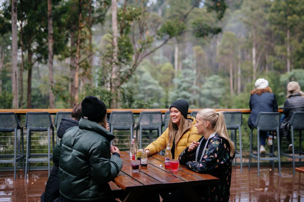 Tahune Airwalk Cabin And Lodge Geeveston Extérieur photo