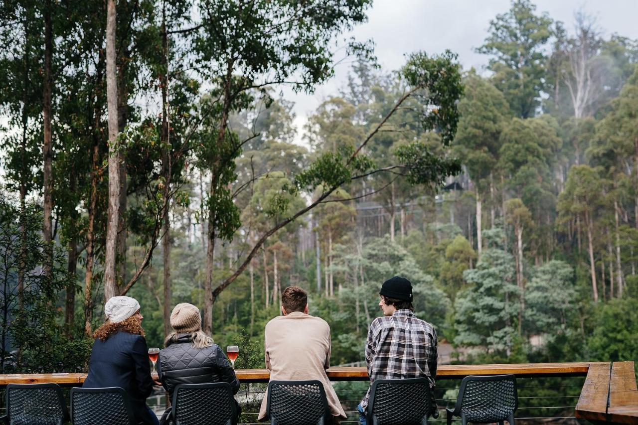 Tahune Airwalk Cabin And Lodge Geeveston Extérieur photo