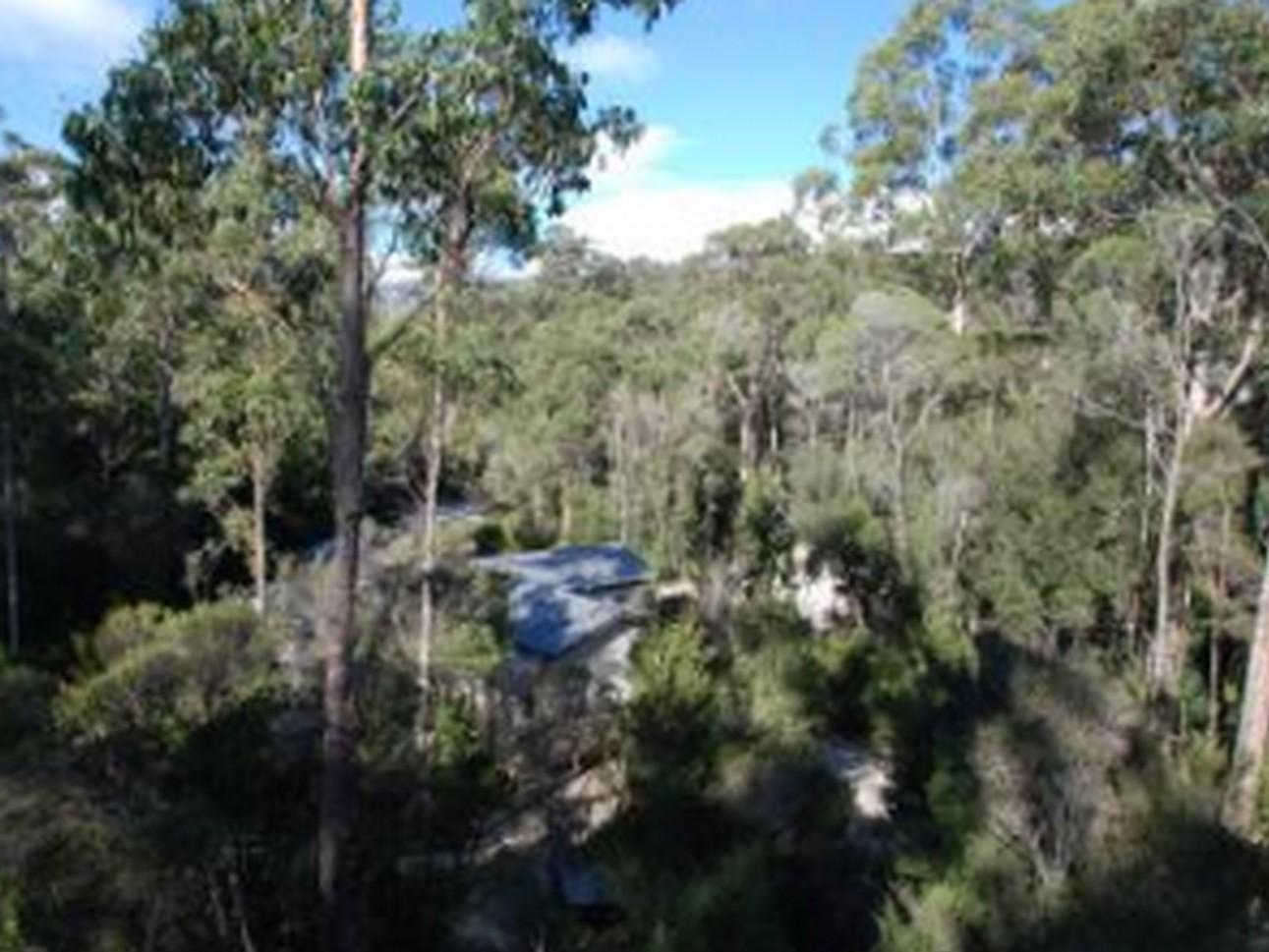 Tahune Airwalk Cabin And Lodge Geeveston Extérieur photo