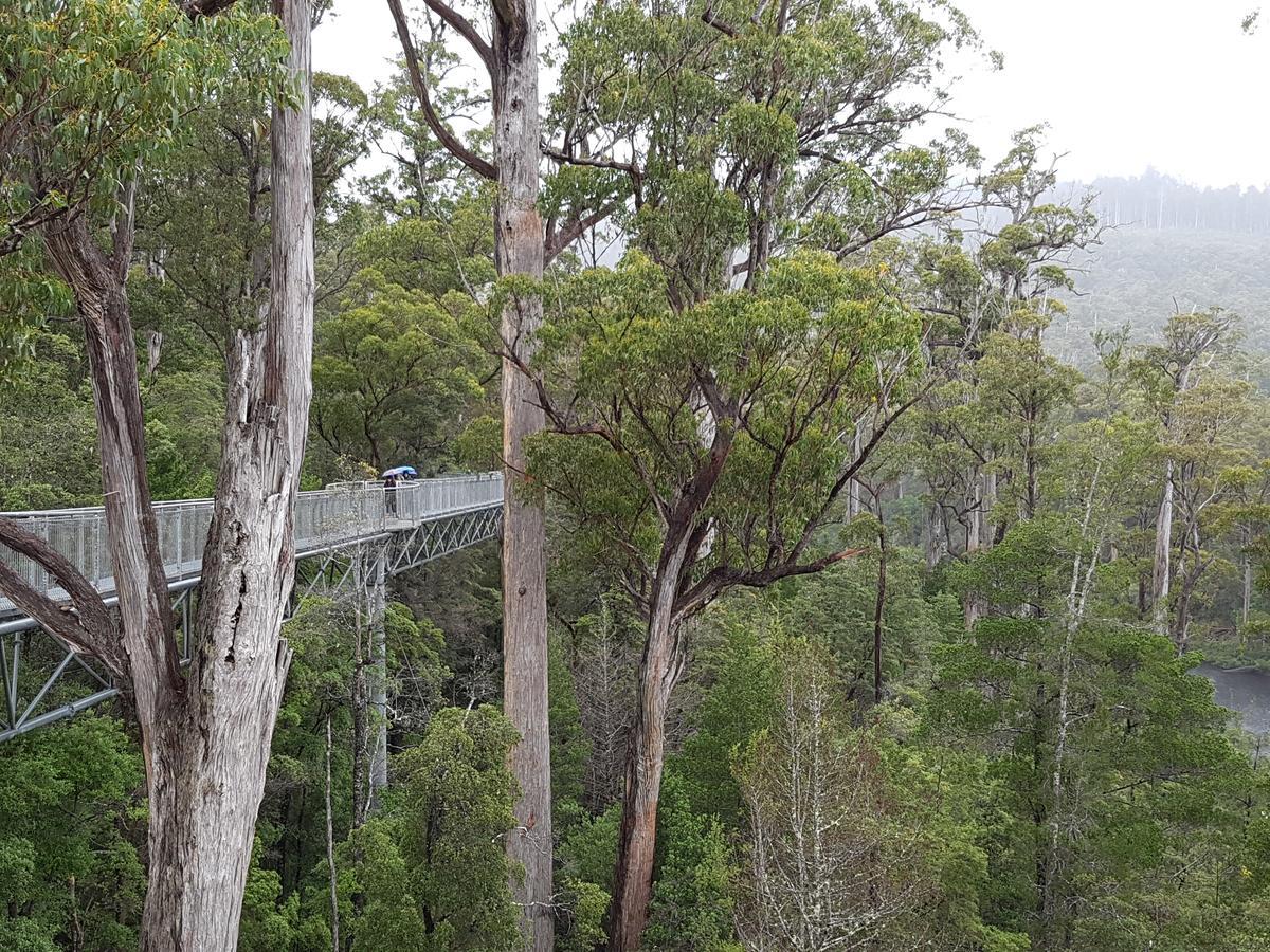 Tahune Airwalk Cabin And Lodge Geeveston Extérieur photo