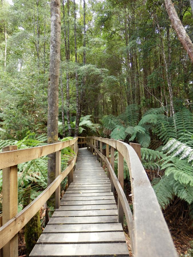 Tahune Airwalk Cabin And Lodge Geeveston Extérieur photo