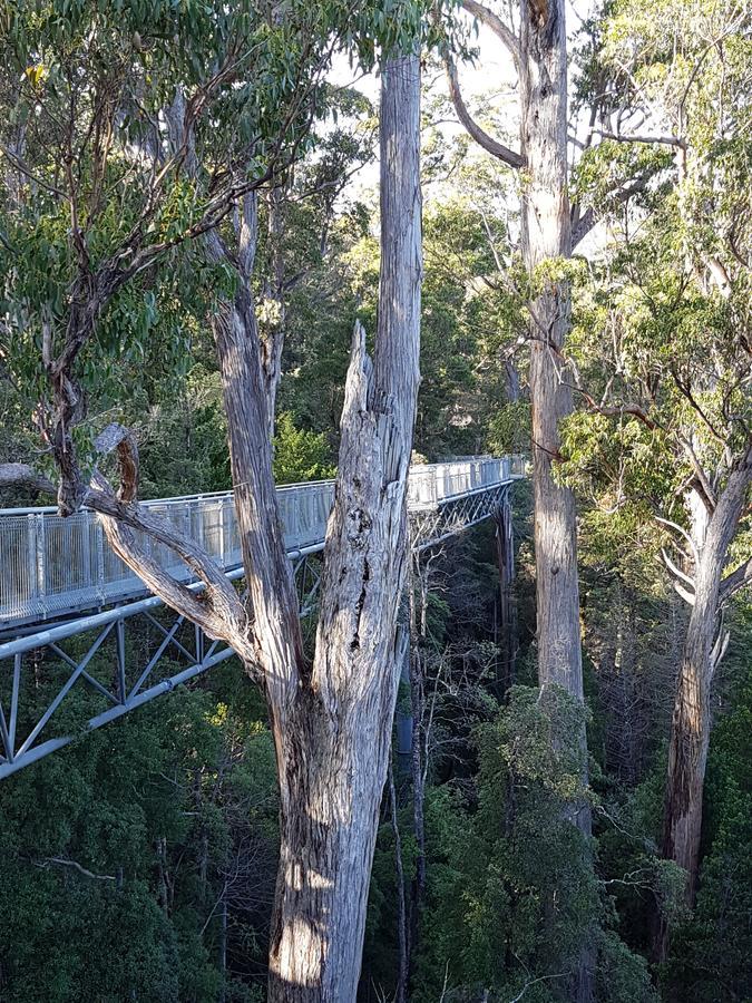 Tahune Airwalk Cabin And Lodge Geeveston Extérieur photo