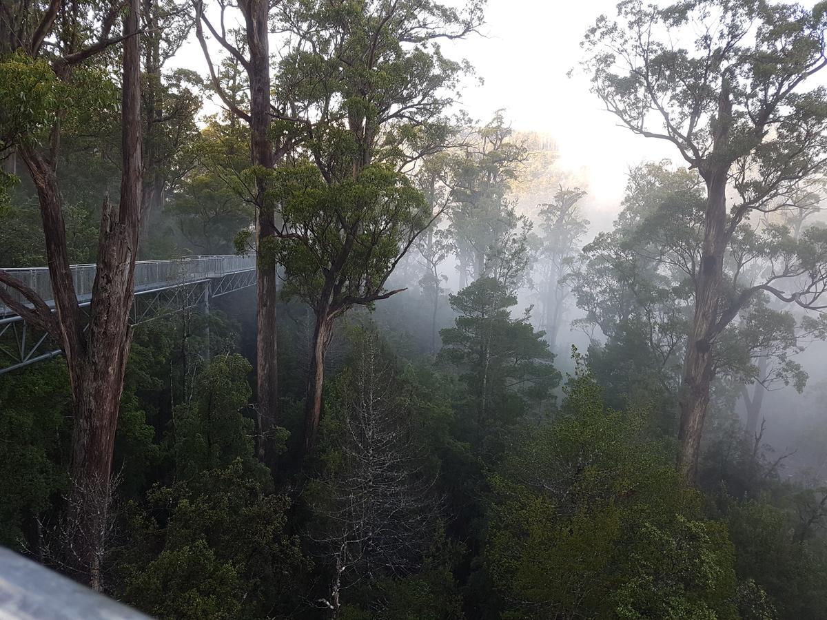 Tahune Airwalk Cabin And Lodge Geeveston Extérieur photo