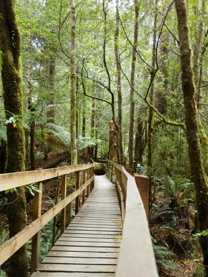 Tahune Airwalk Cabin And Lodge Geeveston Extérieur photo